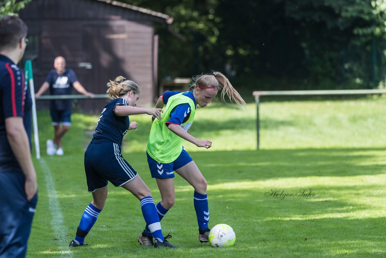 Bild 204 - B-Juniorinnen VfL Pinneberg - HSV : Ergebnis: 1:4